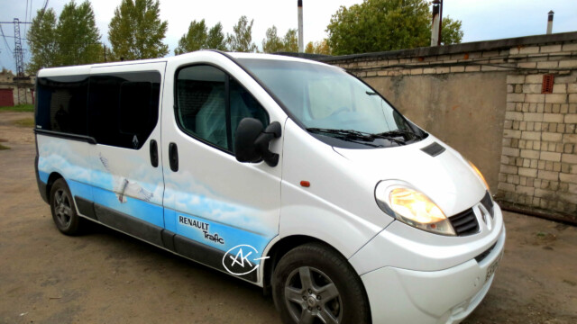 Аэрография на авто. Renault Trafic. Чайка.