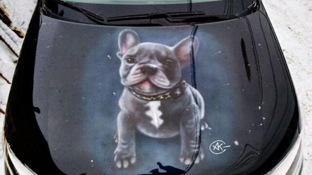 Аэрография на капоте авто